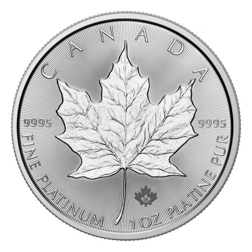 【3 Day Ship】2025 (New) Canada Maple Leaf Platinum 1 oz Coin