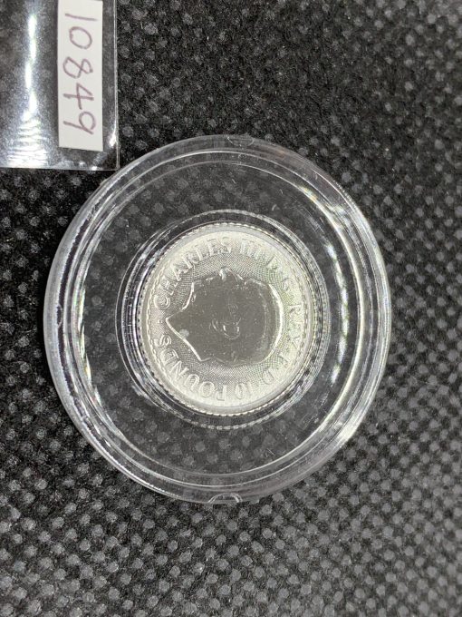 2025 (New) England Britannia Platinum 1/10 oz coin #10849 - Image 4