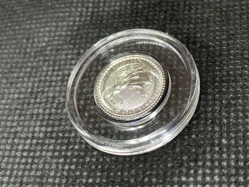 2025年 (新品) イギリス「ブリタニア」白金 純プラチナ 1/10オンス プラチナ貨 #10853 - 画像 (5)