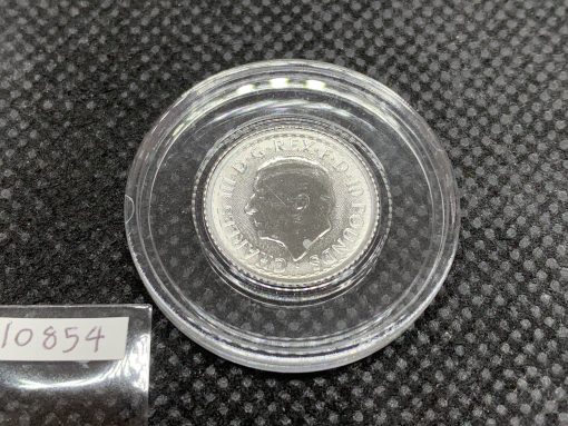 2025年 (新品) イギリス「ブリタニア」白金 純プラチナ 1/10オンス プラチナ貨 #10854 - 画像 (2)