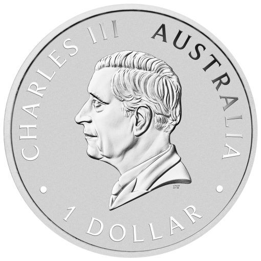 2025 (New) Australian Swan Silver 1 oz Coin - Image 2