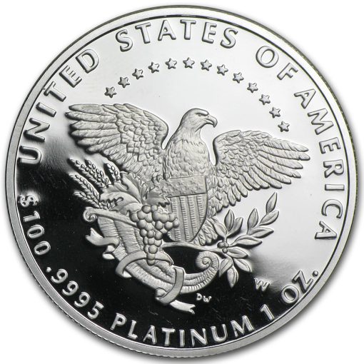 2005 (New) American Eagle Walking Liberty Platinum 1 oz Proof Coin - Image 3
