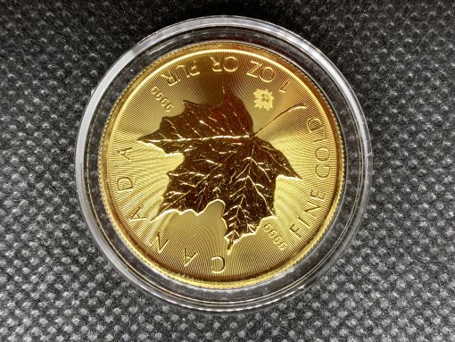 2025年 (新品) カナダ「メイプルリーフ」純金 1オンス 金貨 #11056 - 画像 (5)