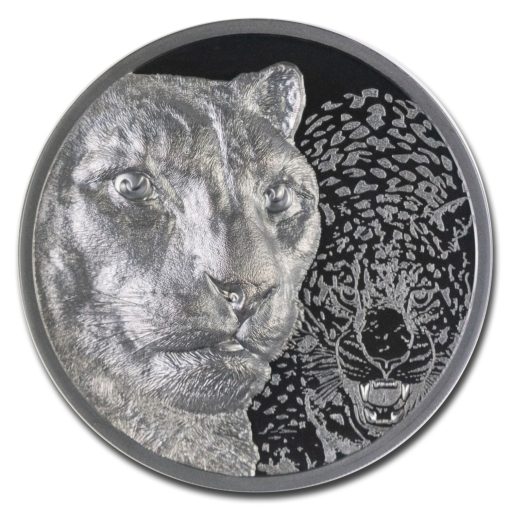 2024年 (新品) モンゴル「ユキヒョウ」純銀 2オンス NGC PF70 ウルトラカメオ プルーフ 銀貨 (ファーストリリース) - 画像 (2)