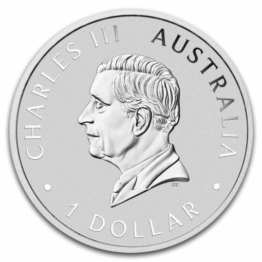 2025年 (新品) オーストラリア「コアラ」純銀 1オンス 銀貨 PCGS MS70 (ファーストストライク) - 画像 (3)