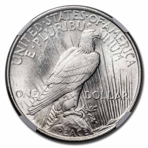 1923 USA Stage Coach Peace Dollar 90% Silver Brilliant Uncirculated Coin NGC - Image 3