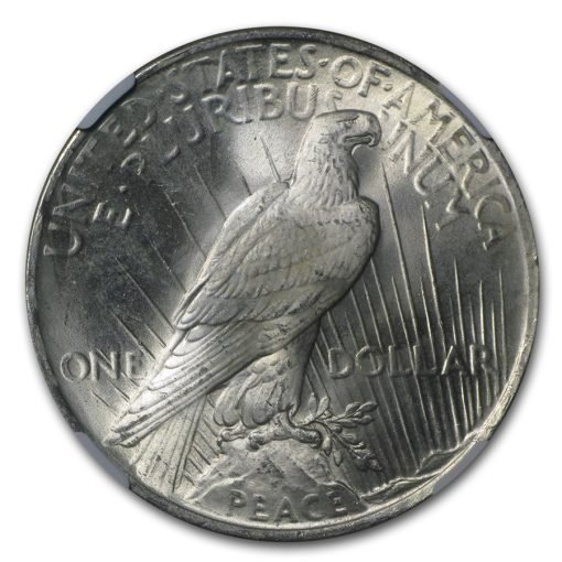 1923年 アメリカ ピースドル 90% 銀 流通 銀貨 NGC MS63 (ランダムラベル) - 画像 (3)