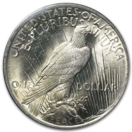 1923 USA Peace Dollar 90% Silver Circulated Coin PCGS MS64 - Image 3